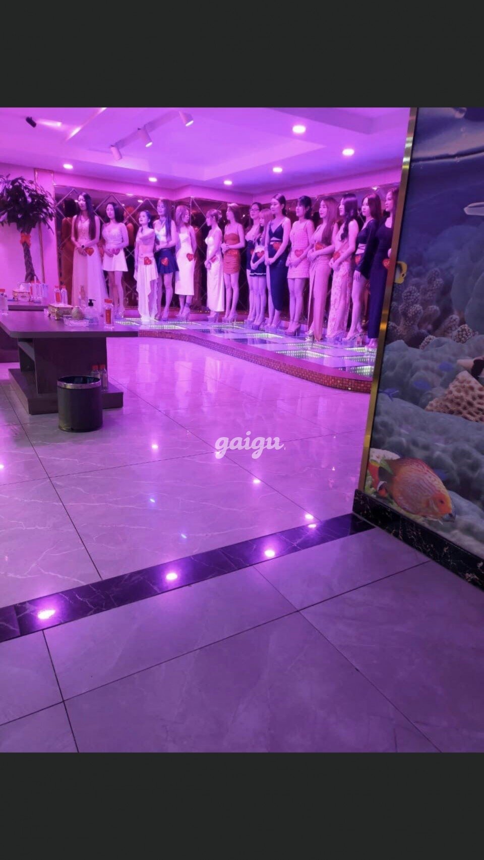 New VÂN ANH – Cao Dáo,Dễ Thương,Chiều Khách